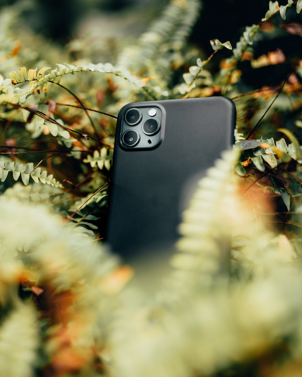 Inflation Doughnut Economics and iPhones
